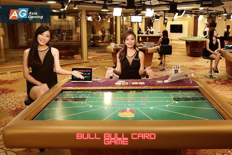 Bull Bull Live