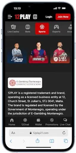 12Play Cricket Betting In Malaysia