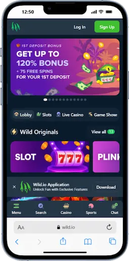 Wild.io Crypto Casino
