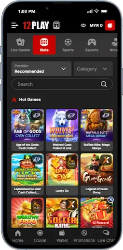 Register At 12Play Casino Step 4